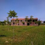 Rustico