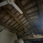 IMG_5691