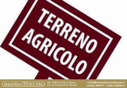 Terreno Agricolo